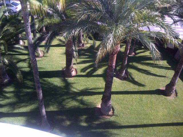Apartment Martinez Casablanca 阿尔考斯布里 外观 照片